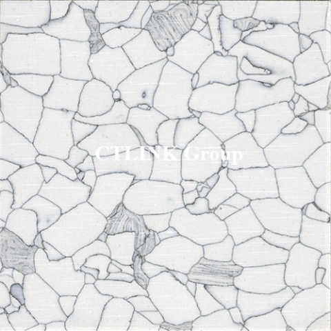 Sàn nâng kỹ thuật tấm thép lõi xi măng mặt phủ conductive PVC/ Vinyl